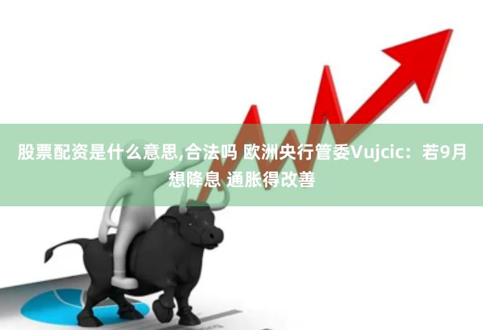 股票配资是什么意思,合法吗 欧洲央行管委Vujcic：若9月想降息 通胀得改善