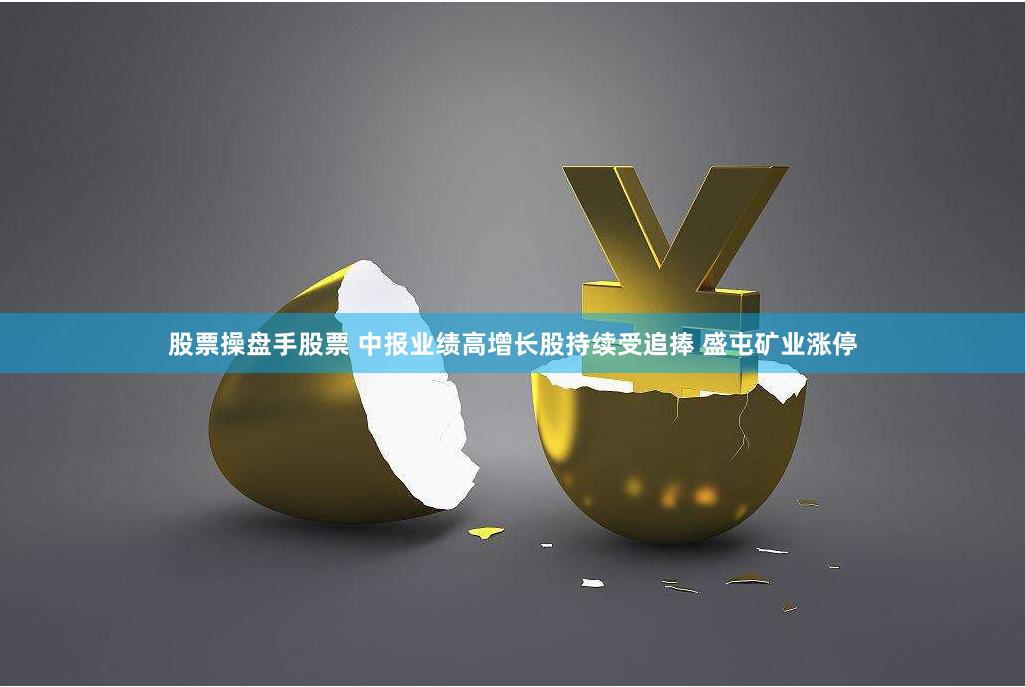 股票操盘手股票 中报业绩高增长股持续受追捧 盛屯矿业涨停