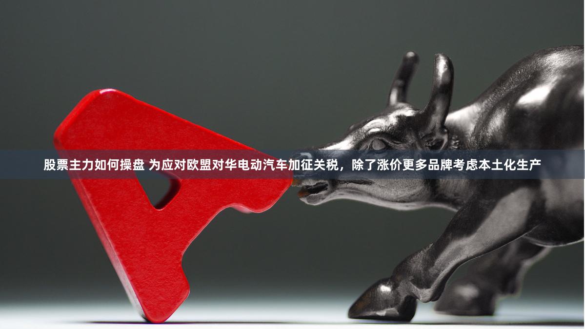 股票主力如何操盘 为应对欧盟对华电动汽车加征关税，除了涨价更多品牌考虑本土化生产