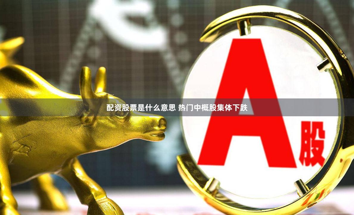配资股票是什么意思 热门中概股集体下跌