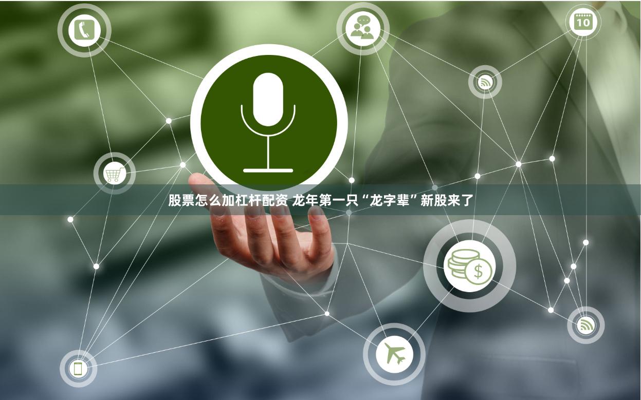 股票怎么加杠杆配资 龙年第一只“龙字辈”新股来了