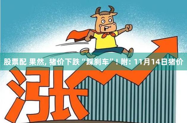 股票配 果然, 猪价下跌“踩刹车”! 附: 11月14日猪价