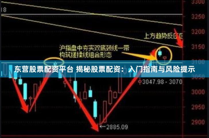 东营股票配资平台 揭秘股票配资：入门指南与风险提示