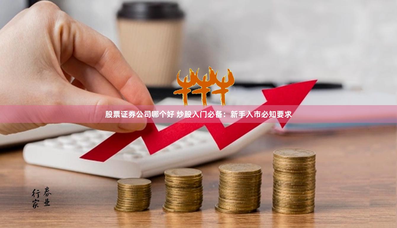股票证券公司哪个好 炒股入门必备：新手入市必知要求